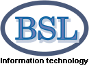 «Business Soft Line» logo